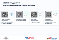 Сервисы поддержки для участников СВО и членов их семей.